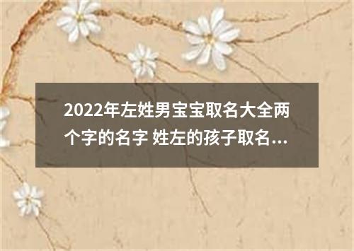 2022年左姓男宝宝取名大全两个字的名字 姓左的孩子取名男