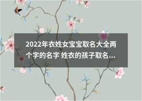 2022年衣姓女宝宝取名大全两个字的名字 姓衣的孩子取名女