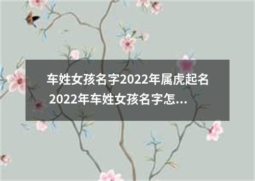 车姓女孩名字2022年属虎起名 2022年车姓女孩名字怎么起
