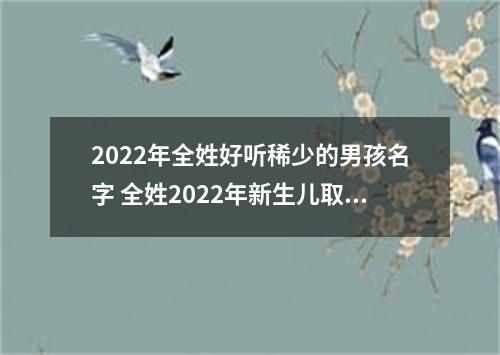 2022年全姓好听稀少的男孩名字 全姓2022年新生儿取名字