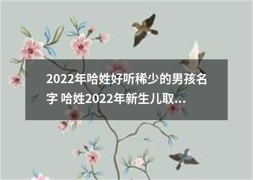 2022年哈姓好听稀少的男孩名字 哈姓2022年新生儿取名字