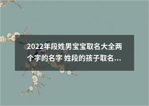 2022年段姓男宝宝取名大全两个字的名字 姓段的孩子取名男
