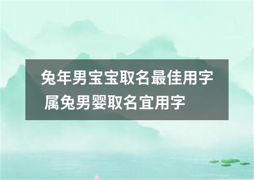兔年男宝宝取名最佳用字 属兔男婴取名宜用字