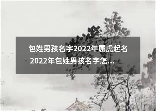 包姓男孩名字2022年属虎起名 2022年包姓男孩名字怎么起