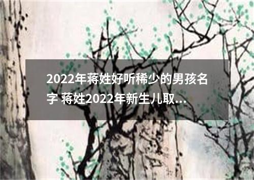 2022年蒋姓好听稀少的男孩名字 蒋姓2022年新生儿取名字