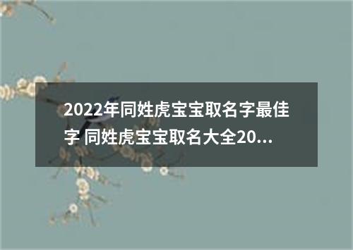 2022年同姓虎宝宝取名字最佳字 同姓虎宝宝取名大全2022