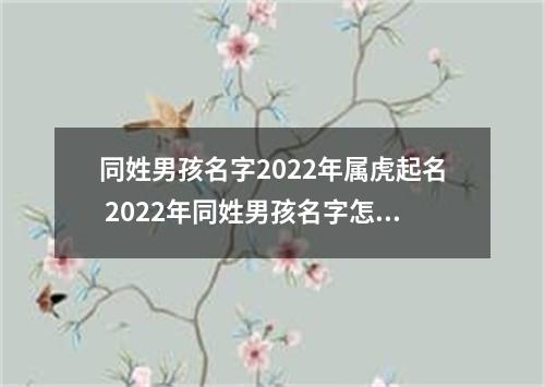 同姓男孩名字2022年属虎起名 2022年同姓男孩名字怎么起