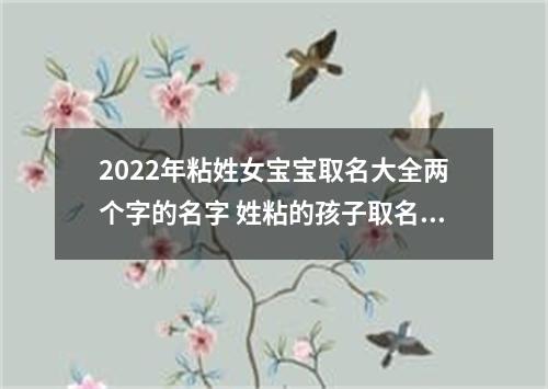 2022年粘姓女宝宝取名大全两个字的名字 姓粘的孩子取名女