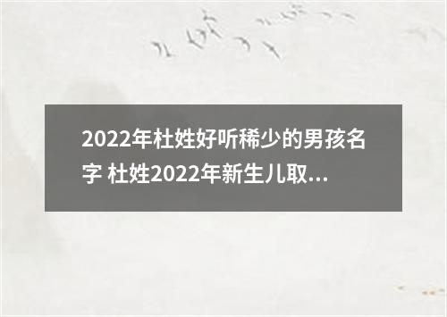 2022年杜姓好听稀少的男孩名字 杜姓2022年新生儿取名字