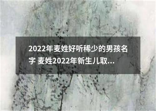2022年麦姓好听稀少的男孩名字 麦姓2022年新生儿取名字