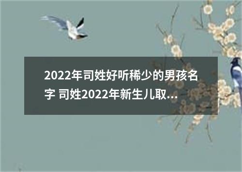 2022年司姓好听稀少的男孩名字 司姓2022年新生儿取名字