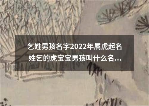 乞姓男孩名字2022年属虎起名 姓乞的虎宝宝男孩叫什么名字好