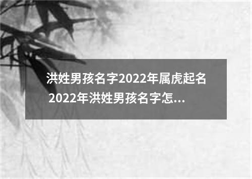洪姓男孩名字2022年属虎起名 2022年洪姓男孩名字怎么起