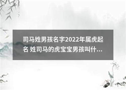 司马姓男孩名字2022年属虎起名 姓司马的虎宝宝男孩叫什么名字好