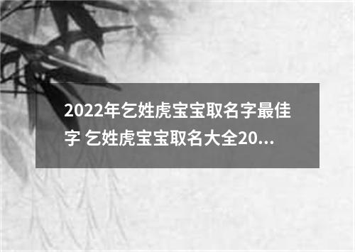 2022年乞姓虎宝宝取名字最佳字 乞姓虎宝宝取名大全2022