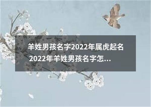 羊姓男孩名字2022年属虎起名 2022年羊姓男孩名字怎么起