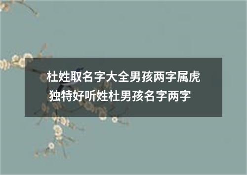 杜姓取名字大全男孩两字属虎 独特好听姓杜男孩名字两字