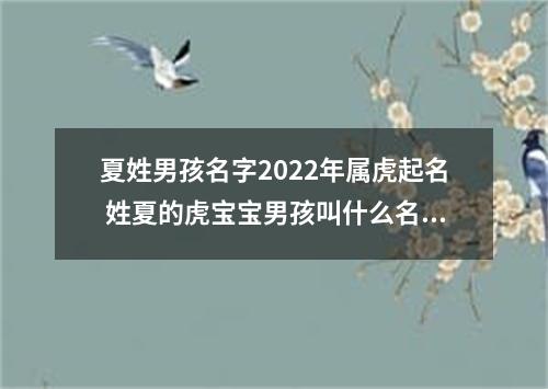 夏姓男孩名字2022年属虎起名 姓夏的虎宝宝男孩叫什么名字好