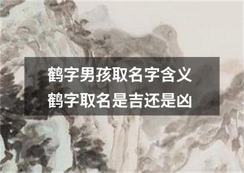 鹤字男孩取名字含义 鹤字取名是吉还是凶