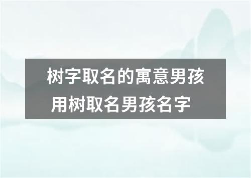 树字取名的寓意男孩 用树取名男孩名字