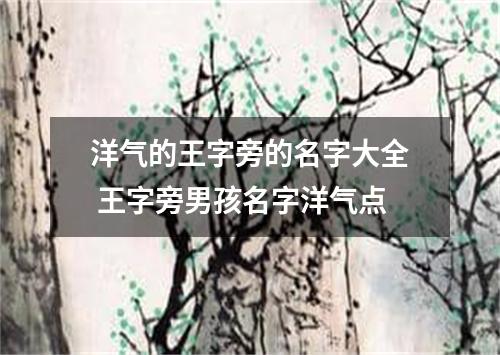 洋气的王字旁的名字大全 王字旁男孩名字洋气点