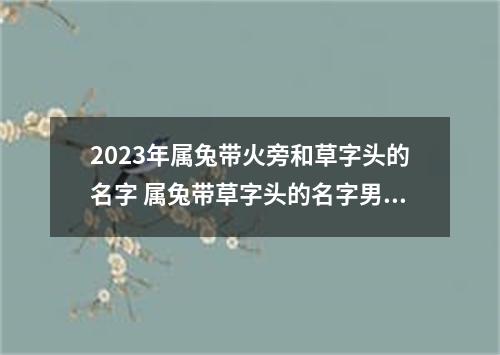 2023年属兔带火旁和草字头的名字 属兔带草字头的名字男孩