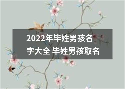 2022年毕姓男孩名字大全 毕姓男孩取名