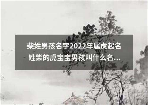 柴姓男孩名字2022年属虎起名 姓柴的虎宝宝男孩叫什么名字好