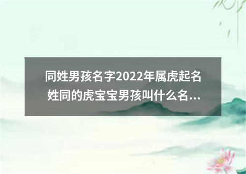 同姓男孩名字2022年属虎起名 姓同的虎宝宝男孩叫什么名字好