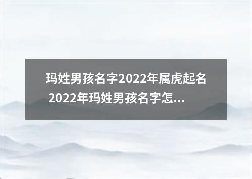 玛姓男孩名字2022年属虎起名 2022年玛姓男孩名字怎么起