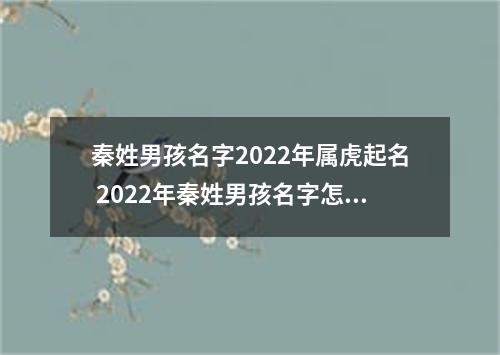 秦姓男孩名字2022年属虎起名 2022年秦姓男孩名字怎么起