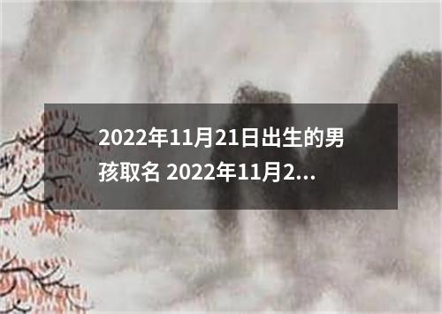 2022年11月21日出生的男孩取名 2022年11月21日出生男宝宝取名