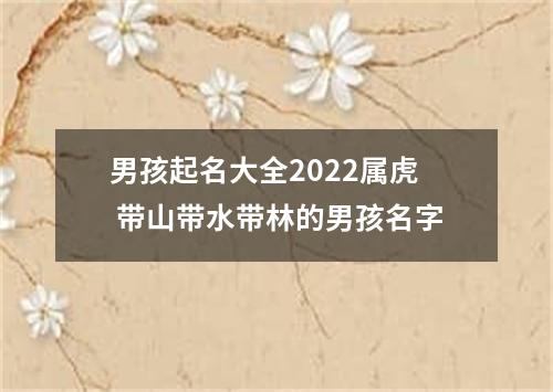 男孩起名大全2022属虎 带山带水带林的男孩名字