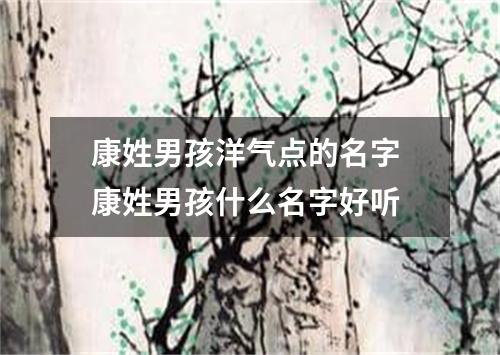 康姓男孩洋气点的名字 康姓男孩什么名字好听