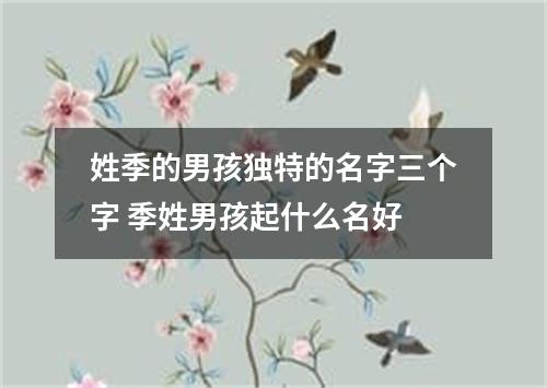 姓季的男孩独特的名字三个字 季姓男孩起什么名好