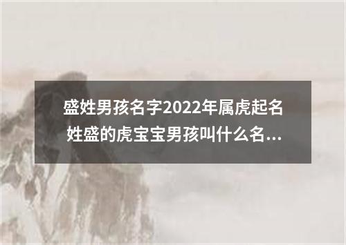 盛姓男孩名字2022年属虎起名 姓盛的虎宝宝男孩叫什么名字好