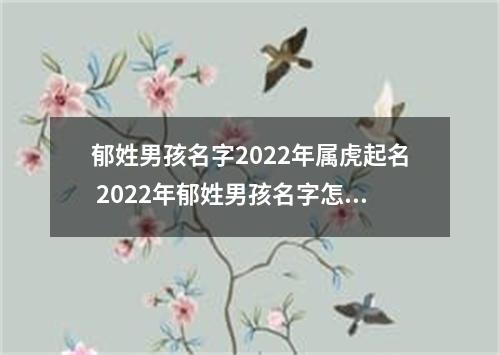 郁姓男孩名字2022年属虎起名 2022年郁姓男孩名字怎么起