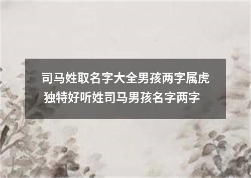 司马姓取名字大全男孩两字属虎 独特好听姓司马男孩名字两字