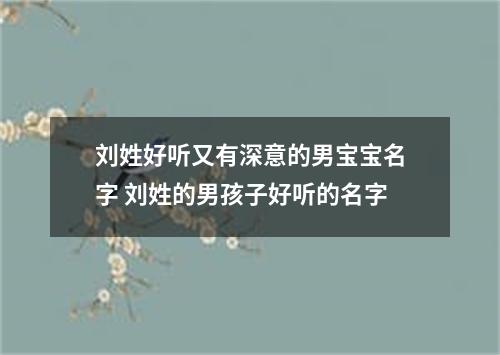 刘姓好听又有深意的男宝宝名字 刘姓的男孩子好听的名字