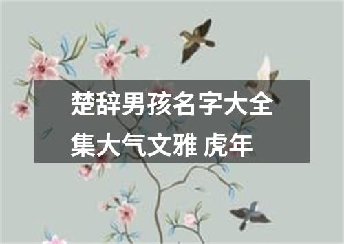 楚辞男孩名字大全集大气文雅 虎年