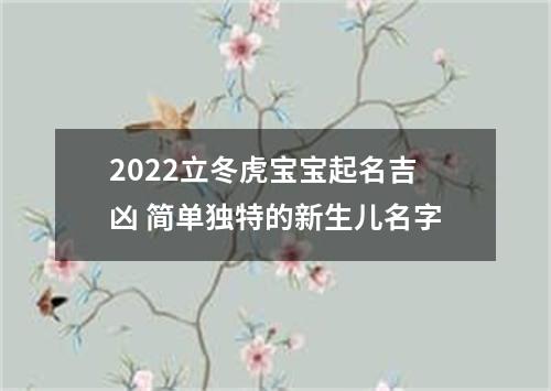 2022立冬虎宝宝起名吉凶 简单独特的新生儿名字