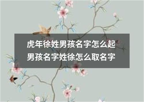 虎年徐姓男孩名字怎么起 男孩名字姓徐怎么取名字