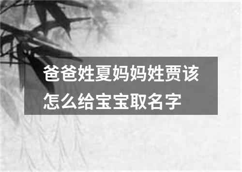 爸爸姓夏妈妈姓贾该怎么给宝宝取名字