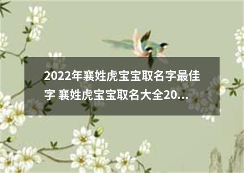 2022年襄姓虎宝宝取名字最佳字 襄姓虎宝宝取名大全2022