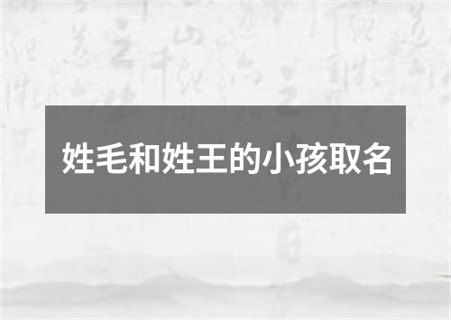 姓毛和姓王的小孩取名