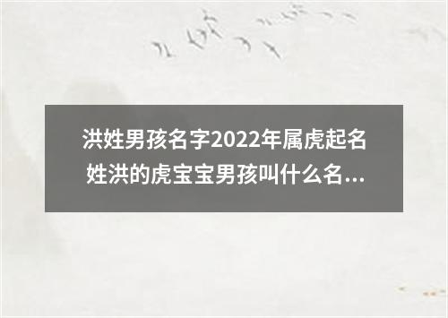 洪姓男孩名字2022年属虎起名 姓洪的虎宝宝男孩叫什么名字好