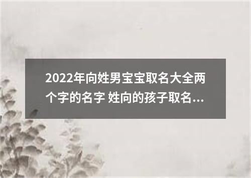 2022年向姓男宝宝取名大全两个字的名字 姓向的孩子取名男