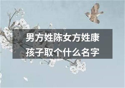 男方姓陈女方姓康孩子取个什么名字