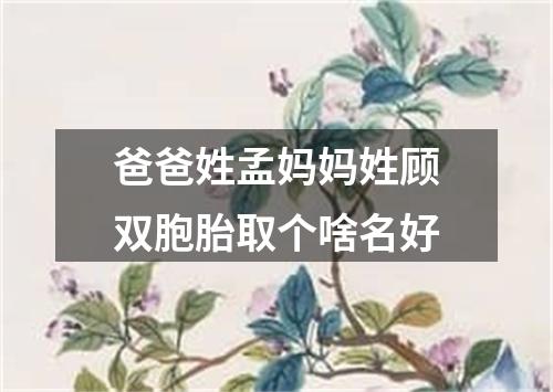 爸爸姓孟妈妈姓顾双胞胎取个啥名好
