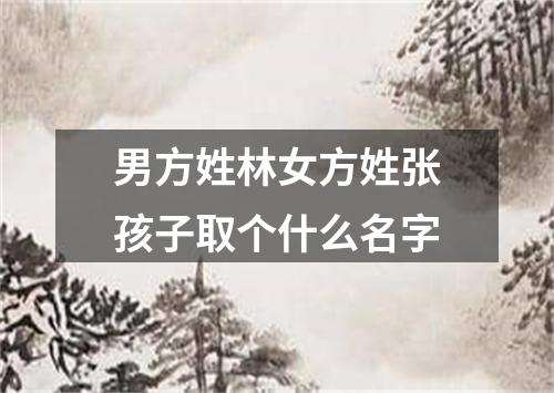 男方姓林女方姓张孩子取个什么名字